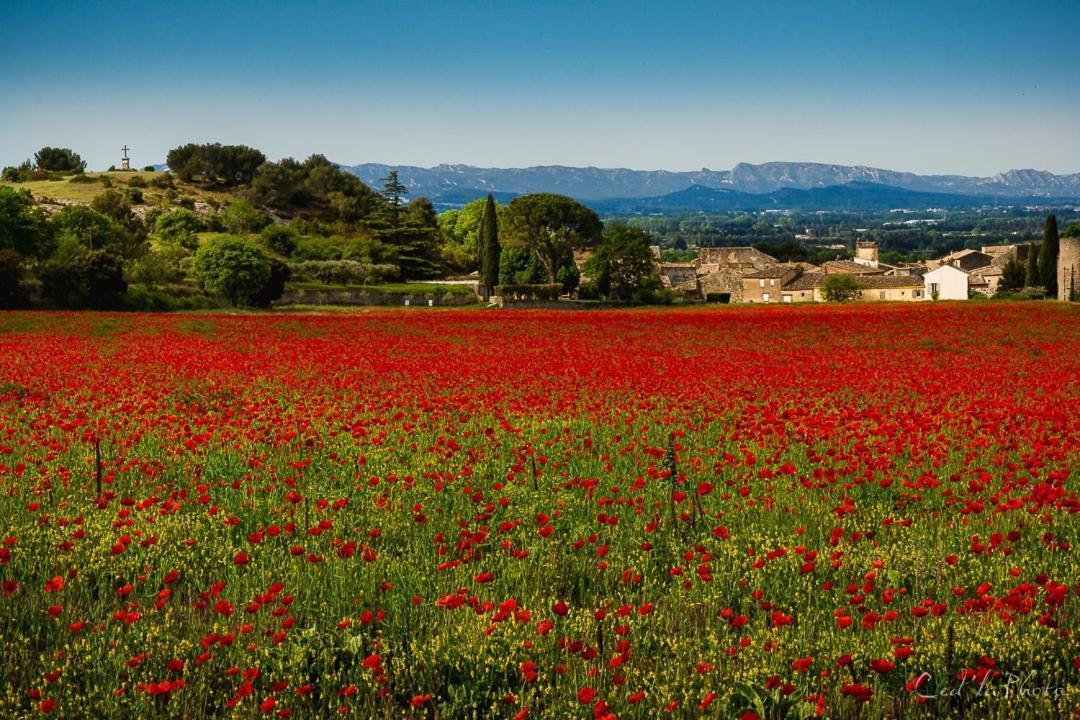 Villa Provencale Face Au Luberon Cabrières-dʼAvignon 外观 照片