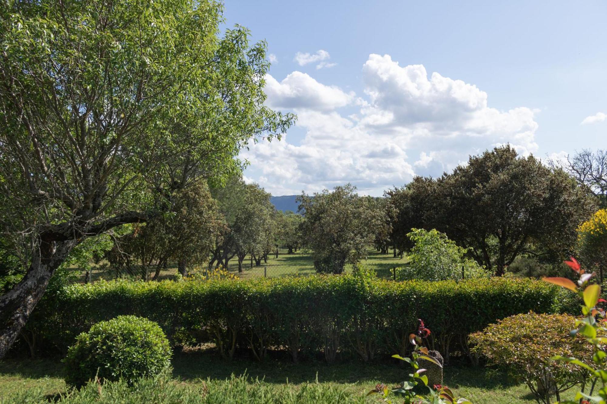 Villa Provencale Face Au Luberon Cabrières-dʼAvignon 外观 照片